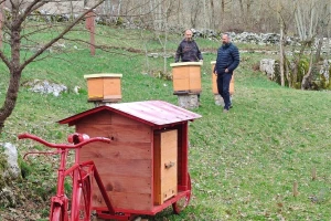 Posetili smo pčelarski park jedinstven u Evropi: Evo gde se nalazi