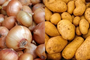 Crni luk košta kao južno voće, poskupiće i krompir