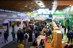 Macfrut 2024.: Šta je u fokusu 41. izdanja italijanskog sajma voća i povrća?