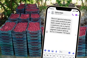 Malinarima iz BiH prete zbog najavljenih protesta: "Gađaću te čim stignem!"