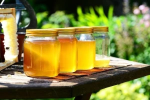 Ugrožen izvoza meda iz Srbije u EU zbog insekticida?