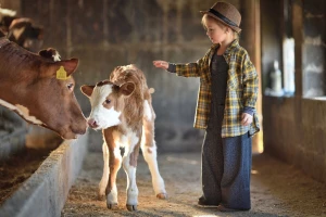 Otvoren je RuralFoto - izbor najboljih ruralnih fotografija u 2025. godini