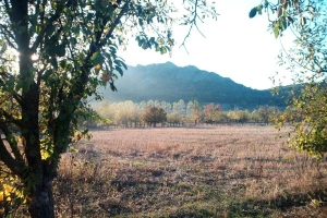 Miholjsko leto sve do novembra