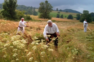 Moba na selu - koristan i važan oblik povezivanja zajednice