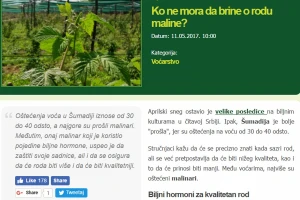 Maline ponovo privlače pažnju