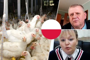 Poljski recept za konkurentnost: Dobra organizacija, udruživanje i edukacija