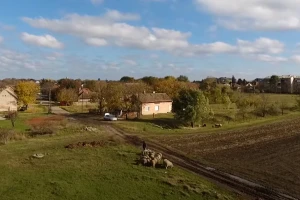 Ovčarstvom nije ništa dobio, ali je zadovoljan - kako?