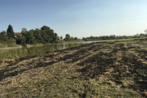 Ponjavica i Carska bara: Paljenje njiva ponovo izazvalo požar