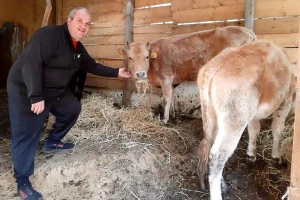 Subvencije za autohtone rase ni posle deset meseci, pomoć za preradu mleka ni posle dve godine?
