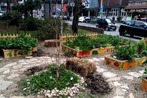 Urbane bašte - ništa lakše i lepše