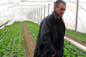 Jedini spas u ranoj i kasnoj proizvodnji povrća