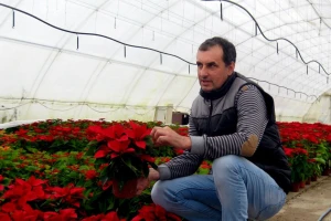 Repromaterijal poskupeo 100%, a cveće samo 10%