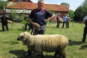 Svrljiška pramenka - ponos svog kraja