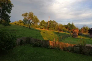 Promenljivo oblačno vreme sve do petka - povoljni uslovi za razvoj biljnih bolesti