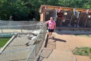 Nenad Ordić državni posao zamenio seoskim turizmom