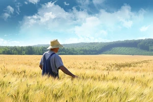 Preti li nestašica hrane zbog klimatskih promena?