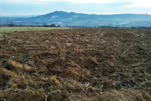 Uskoro Nacrt programa za očuvanje zemljišta i ublažavanja posledica suše