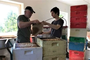 Kako se pčelari u Norveškoj, a šta može da se primeni kod nas?