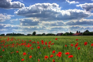 Promenjivo vreme - smena sunca i oblaka