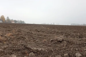 Stabilno vreme, uz pojavu mraza. Kada ponovo možemo očekivati sneg?