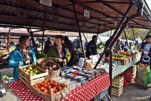 Kako organskoj hrani olakšati put do građana i javnih ustanova?