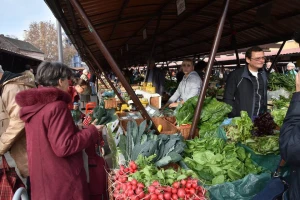 Formirana baza organskih proizvoda za unapređenje izvoza i poslovanja proizvođača