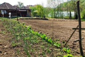 U Srbiji sve manje površina pod organskom proizvodnjom