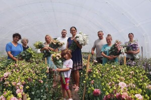 Uzgoj lizijantusa kao isplativ posao? Mijovići su u tome uspeli