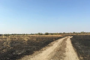 Inspekcija i policija identifikuju lica koja su palila njive