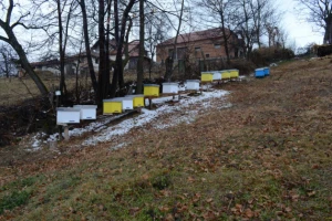 Seliti košnice na veće nadmorske visine?