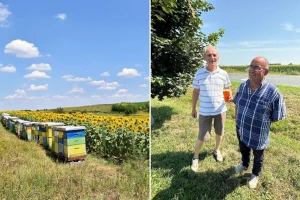 Kako su pčele podnele toplotni talas i da li je upitan prinos meda - znaju stručnjaci