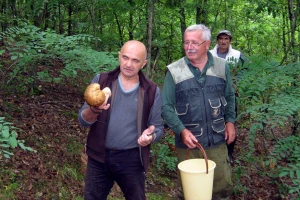 Branje pečuraka: Svako eksperimentisanje može da bude kobno