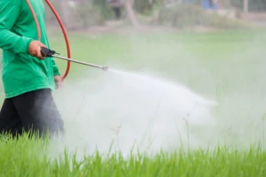 Koliko su pesticidi opasni po zdravlje?