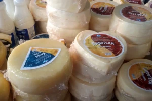 Spoj tradicionalnog i savremenog - pirotski kačkavalj