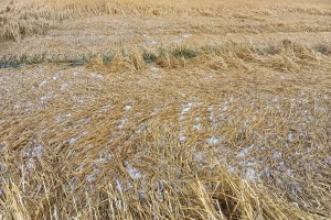 Počinje izrada Nacrta zakona o smanjenju rizika od grada