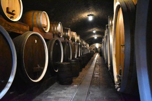 Kako drvene bačve utiču na vino? Evo devet zanimljivosti o njima