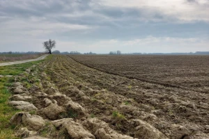 U Arilju, Čajetini, Bačkoj Palanci, Opovu i Novom Knjaževcu drugi krug licitacija za državne njive