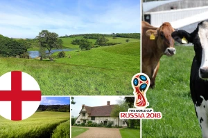 Engleska - zemlja koja je izumela fudbal i preživela kravlje ludilo