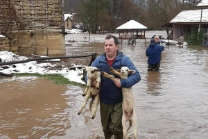 Poplave na jugu Srbije! Spašavaju se i ljudi i stoka