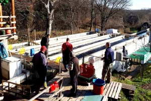 O ribnjaku u Gadžinom Hanu brine 15 članova porodice