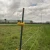Postavljena solarna ograda za zaštitu stoke na Staroj planini