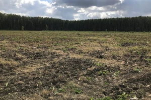 U planu obnova šuma na 1.450 ha i nove šume na 95 ha