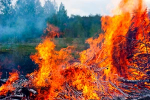 Potrebna veća angažovanost protiv požara i suša