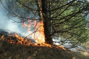 Sprečimo požar u našim šumama!