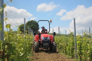 Kioti u vinogradu - u redu podrivač, između redova univerzalna mašina