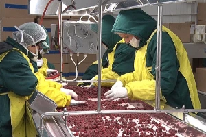 Izvoz srpske maline u zastoju