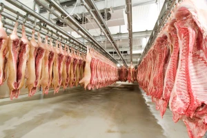 Klanica u Čačku prodata za 17,6 miliona dinara