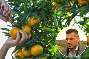 Trgovanje ugljenikom: U komšiluku sprovode jedinstveni projekat za održivu proizvodnju hrane