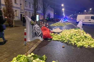Poljski poljoprivrednici ispred kuće vicepremijera bacali jaja, kupus i zaklane svinje