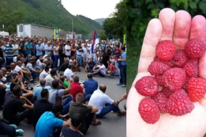 Malinari Zapadne Srbije zakazali protest za 14. decembar